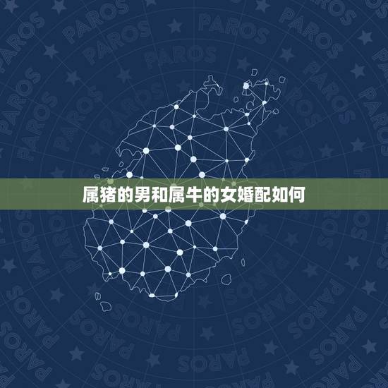 属猪的男和属牛的女婚配如何,属猪的男孩与属牛的女孩婚配好不好? 属猪的男和属牛的女婚配如何,属猪的男孩与属牛的女孩婚配好不好?