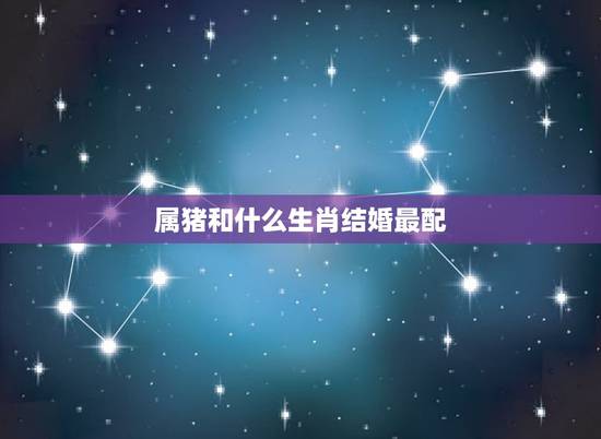 属猪和什么生肖结婚最配，跟猪比较合的属相