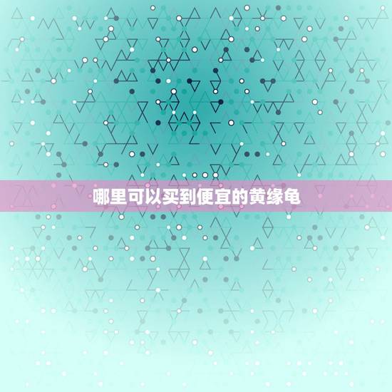 哪里可以买到便宜的黄缘龟,如何才能买到好的黄缘闭壳龟? 哪里可以买到便宜的黄缘龟,如何才能买到好的黄缘闭壳龟?