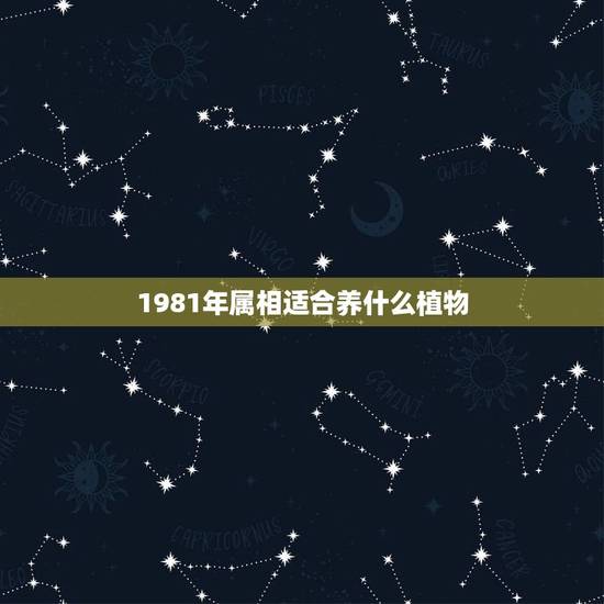 1981年属相适合养什么植物，1981年是什么命