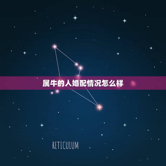属牛的人婚配情况怎么样，属相属牛婚配属牛怎样