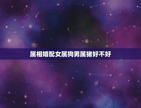 属相婚配女属狗男属猪好不好，属狗女配什么属相好