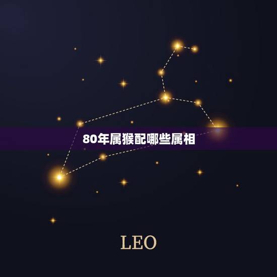 80年属猴配哪些属相，1980年属猴人生意最佳合作属相