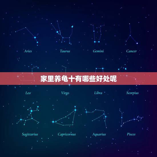 家里养龟十有哪些好处呢 家里养龟有什么好处？