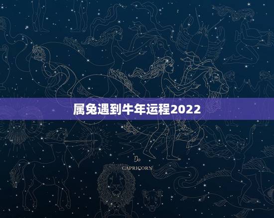属兔遇到牛年运程2022，属兔牛年运势2022 年