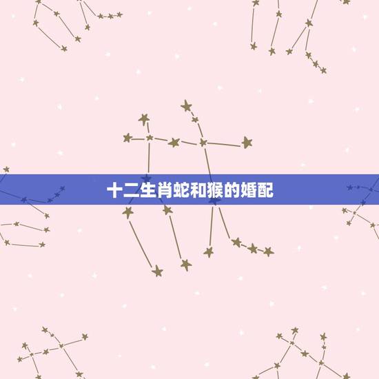 十二生肖蛇和猴的婚配，属蛇的属相婚配表1猴