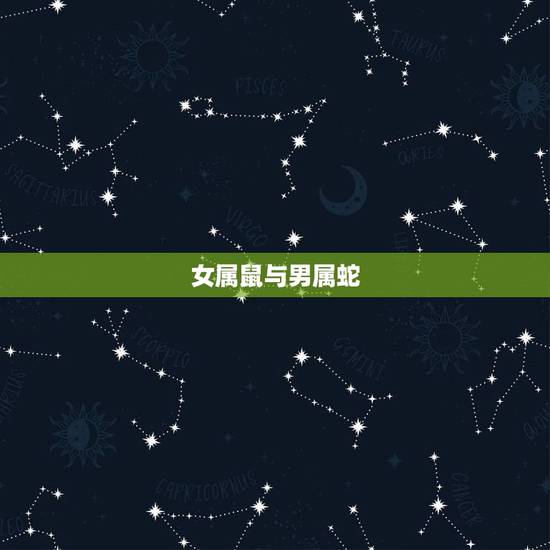 女属鼠与男属蛇，男属鼠女属蛇婚配好吗