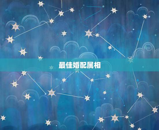 最佳婚配属相,属狗的最佳配偶属相 最佳婚配属相,属狗的最佳配偶属相