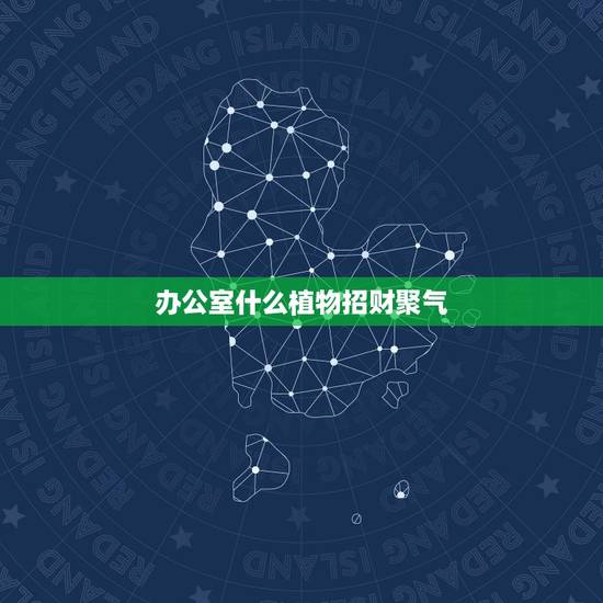 办公室什么植物招财聚气,办公室放什么植物会比较合适旺财运? 办公室什么植物招财聚气,办公室放什么植物会比较合适旺财运?