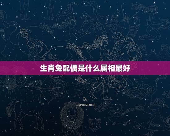 生肖兔配偶是什么属相最好，属兔子的配偶属什么最好？