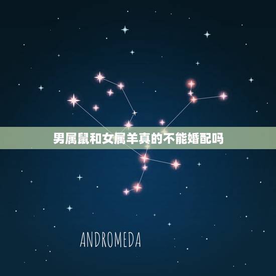男属鼠和女属羊真的不能婚配吗，属鼠男生和属羊女生婚姻配吗