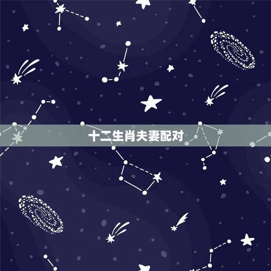 十二生肖夫妻配对,更佳生肖配对婚配 十二生肖夫妻配对,更佳生肖配对婚配