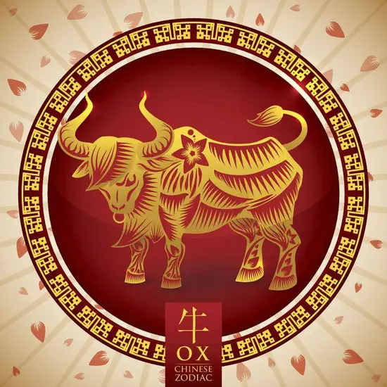 属牛生肖的今年多大年龄(2023年属牛人的年龄预测) 属牛生肖的今年多大年龄(2023年属牛人的年龄预测)