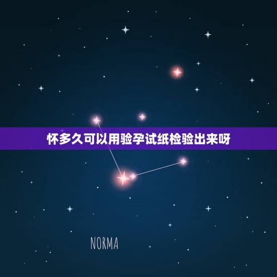 怀多久可以用验孕试纸检验出来呀，怀孕初不知道还了怎么办