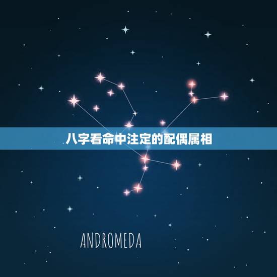 八字看命中注定的配偶属相，最准的婚姻配偶方向