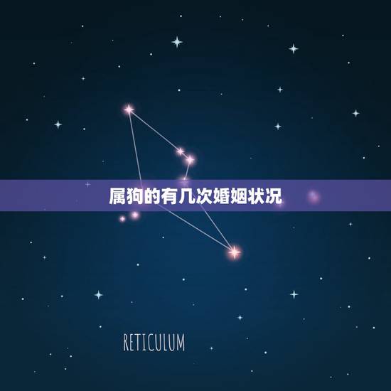 属狗的有几次婚姻状况，94年属狗男的爱情婚姻