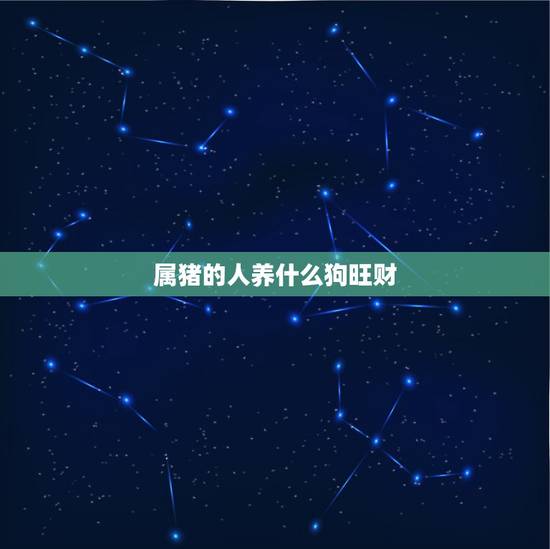 属猪的人养什么狗旺财,属猪的家里放什么动物好 属猪的人养什么狗旺财,属猪的家里放什么动物好
