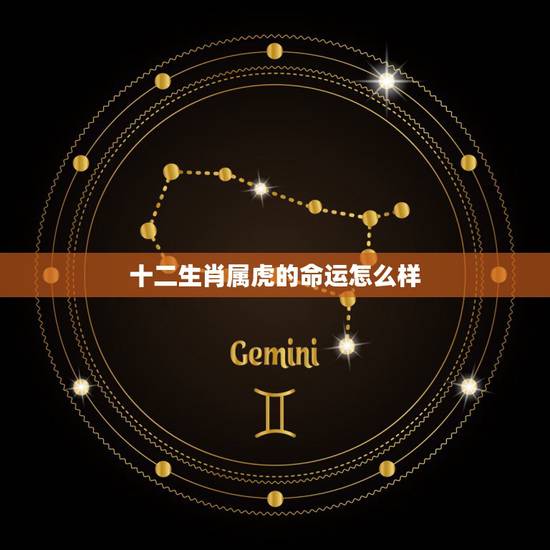 十二生肖属虎的命运怎么样,十二生肖虎的命运如何 十二生肖属虎的命运怎么样,十二生肖虎的命运如何