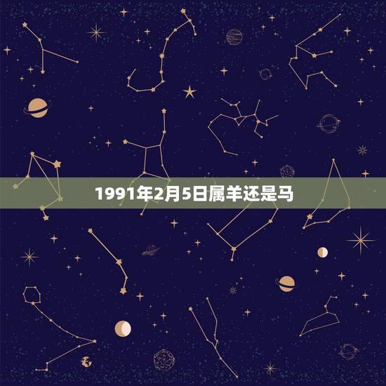 1991年2月5日属羊还是马，1991年属羊五行属什么命
