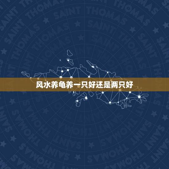 风水养龟养一只好还是两只好，乌龟养一对好还是养一只好？