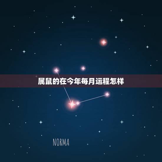 属鼠的在今年每月运程怎样,十二生肖与人生运势 属鼠的在今年每月运程怎样,十二生肖与人生运势