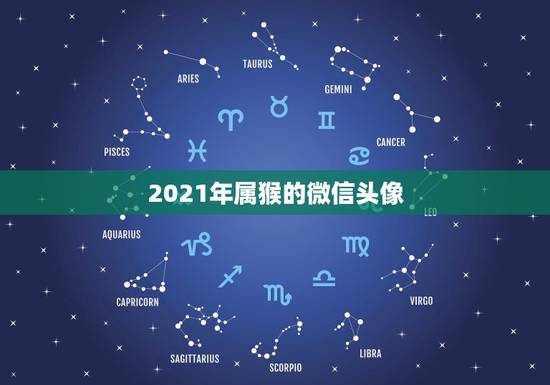 2021年属猴的微信头像,2021年用什么做微信头像最好 2021年属猴的微信头像,2021年用什么做微信头像最好