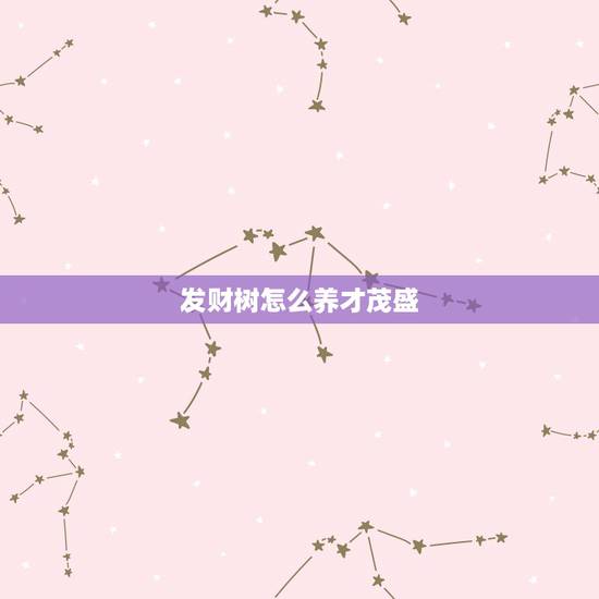 发财树怎么养才茂盛，发财树怎么养才能枝繁叶茂而且有朝气？