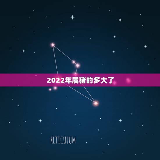 2022年属猪的多大了,2022年属猪的全年运势 2022年属猪的多大了,2022年属猪的全年运势