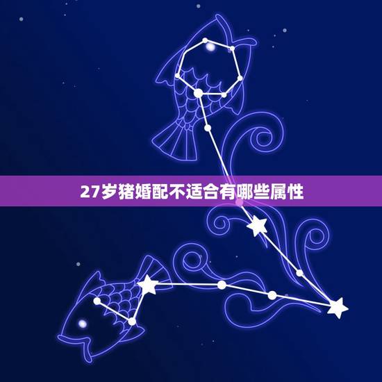 27岁猪婚配不适合有哪些属性，猪和什么属相最配
