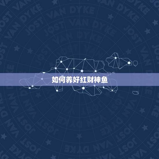 如何养好红财神鱼，养鱼风水：财神鱼怎么养