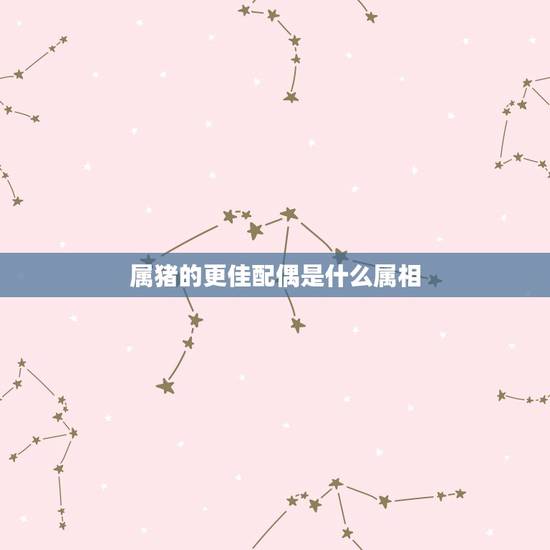 属猪的更佳配偶是什么属相，属猪生肖配偶属相