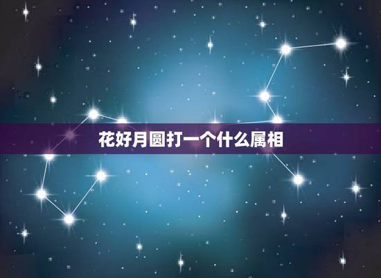 花好月圆打一个什么属相，花好月圆猜一生肖
