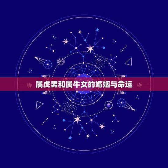 属虎男和属牛女的婚姻与命运，属虎男和属牛女婚姻配吗？