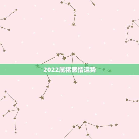2022属猪感情运势,2021年属猪的运势和财运 2022属猪感情运势,2021年属猪的运势和财运