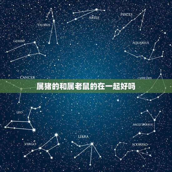 属猪的和属老鼠的在一起好吗，属猪的和属鼠的在一起合适吗？