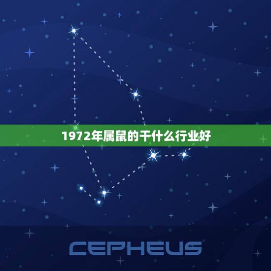 1972年属鼠的干什么行业好，屑鼠人拾合做厨师吗