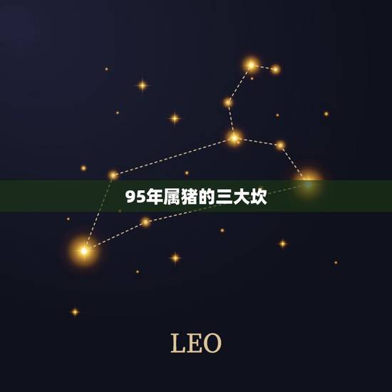 95年属猪的三大坎，属猪人的婚姻大忌