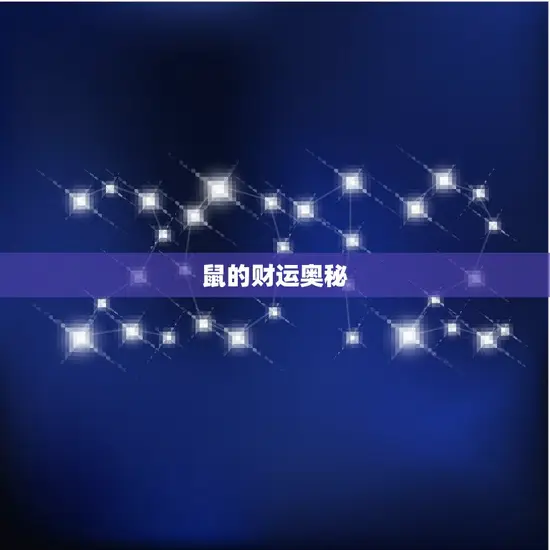 鼠的财运奥秘 鼠的财运奥秘
