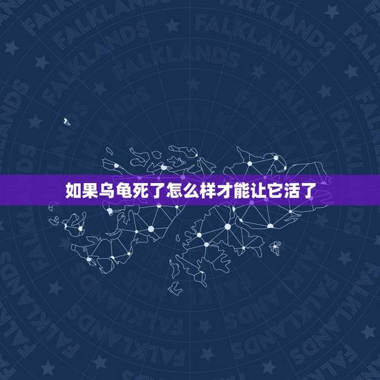 如果乌龟死了怎么样才能让它活了，乌龟怎么才能养活