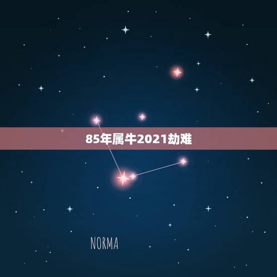 85年属牛2021劫难，1985属牛人2021年全年运势