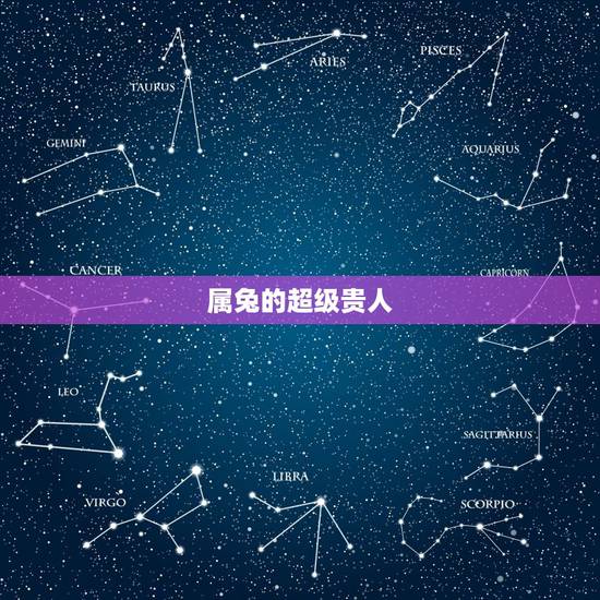 属兔的超级贵人，属兔的人今年出门打工能遇上贵人吗