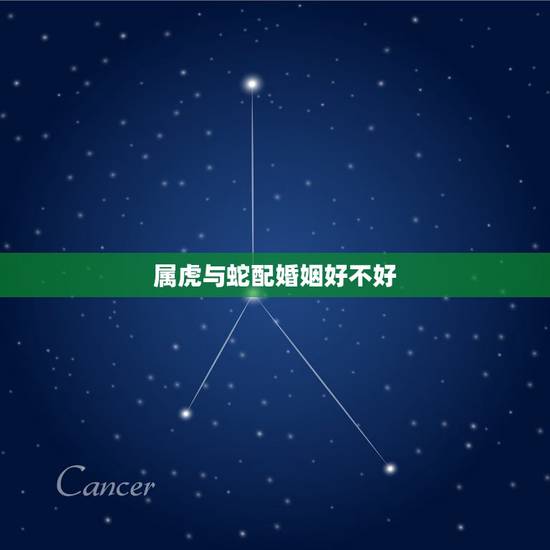 属虎与蛇配婚姻好不好,属虎和属蛇的婚姻化解 属虎与蛇配婚姻好不好,属虎和属蛇的婚姻化解