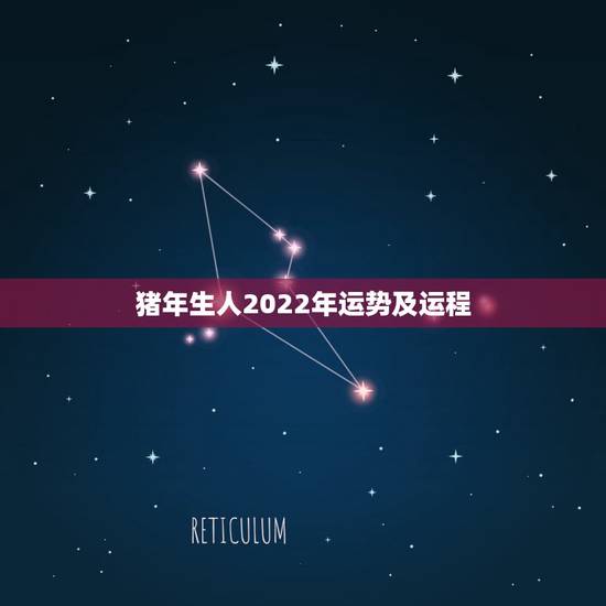 猪年生人2022年运势及运程 虎年猪的运势及运程