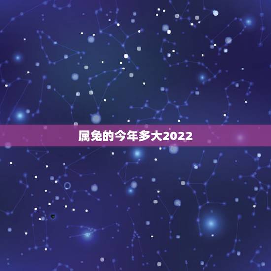 属兔的今年多大2022,属兔人未来五年运势 属兔的今年多大2022,属兔人未来五年运势