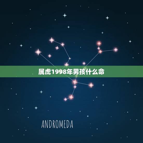属虎1998年男孩什么命,1998年属虎的男孩是什么命 属虎1998年男孩什么命,1998年属虎的男孩是什么命