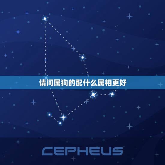 请问属狗的配什么属相更好,狗配什么生肖结婚更好 请问属狗的配什么属相更好,狗配什么生肖结婚更好