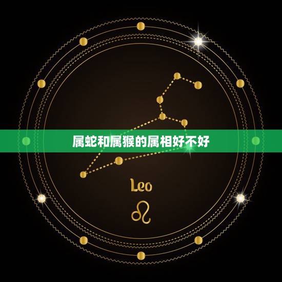 属蛇和属猴的属相好不好,属蛇和属猴的好吗 属蛇和属猴的属相好不好,属蛇和属猴的好吗