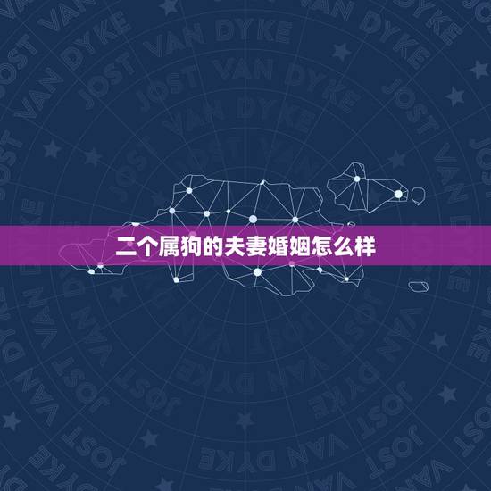 二个属狗的夫妻婚姻怎么样,28岁的狗今年能找着对象吗 二个属狗的夫妻婚姻怎么样,28岁的狗今年能找着对象吗