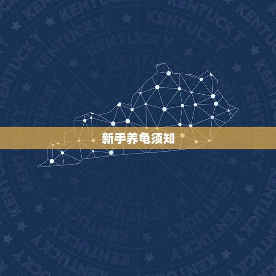 新手养龟须知，养乌龟有哪些注意事项？