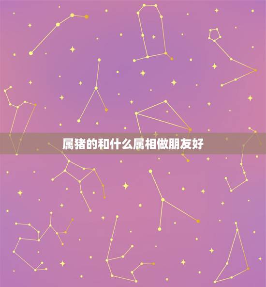 属猪的和什么属相做朋友好，属猪的和什么属相好